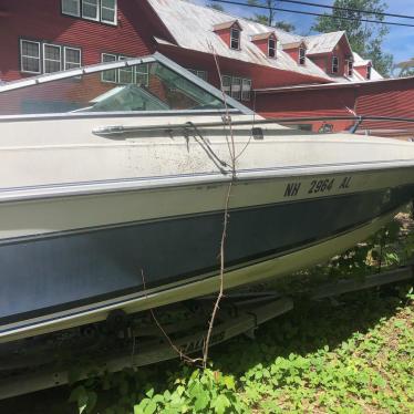 1987 Wellcraft 19ft boat