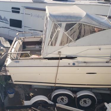 1978 Sea Ray v260 express cruiser