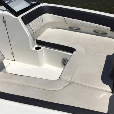 2022 Bayliner dx 2200