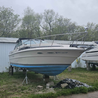 1988 Sea Ray