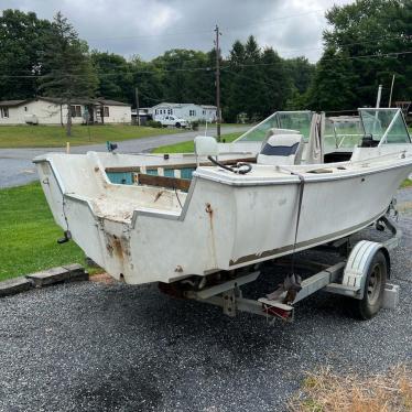 1976 Wellcraft 20ft boat