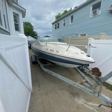 1987 Wellcraft 19ft boat