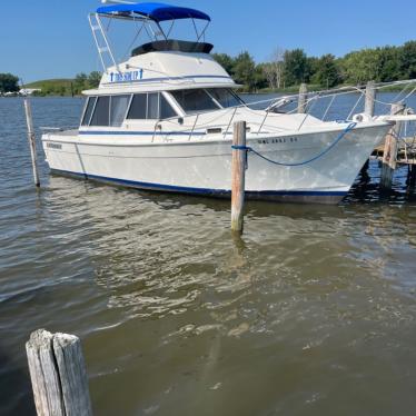 1985 Bayliner explorer