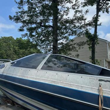 1987 Wellcraft 19ft boat