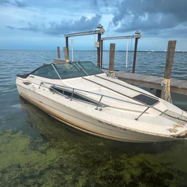 1985 Sea Ray 25ft boat