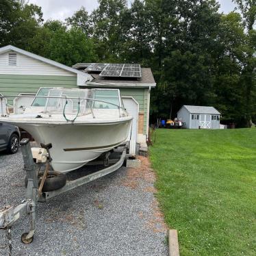 1976 Wellcraft 20ft boat