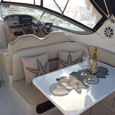 2005 Chaparral 290 signature