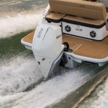 2024 Sea Ray sdx250outboard