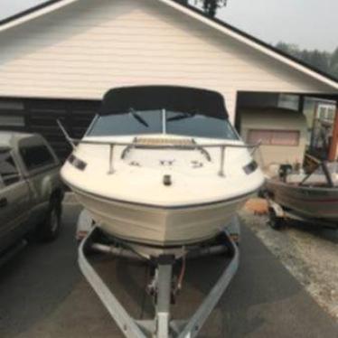 1980 Sea Ray 20ft boat