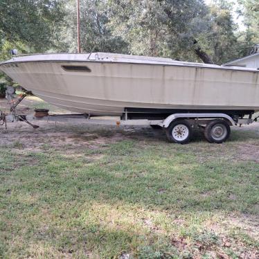 1975 Sea Ray 22ft boat