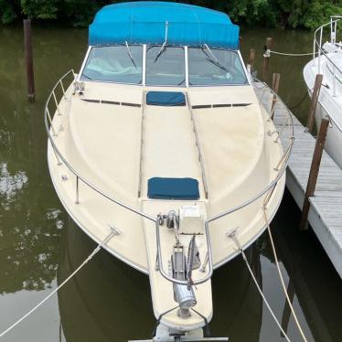 1982 Sea Ray vanguard