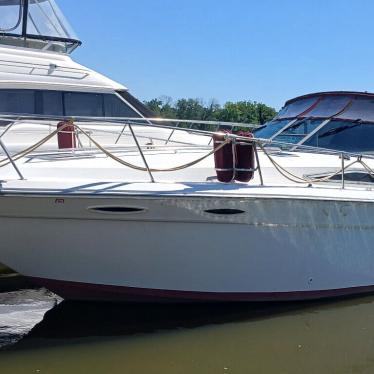 1990 Sea Ray express cruiser