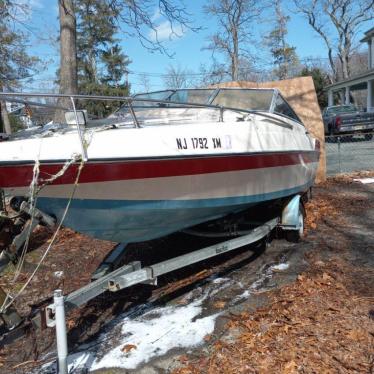 1986 Wellcraft 19ft boat