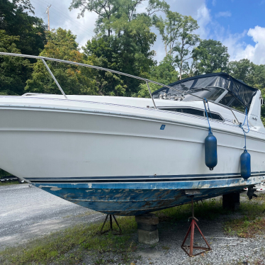 1989 Sea Ray sundance 280