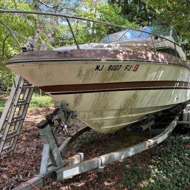 1987 Sea Ray 165hp