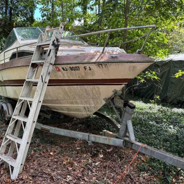 1987 Sea Ray 165hp