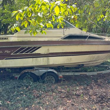 1987 Sea Ray 165hp