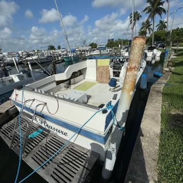 1982 Wellcraft 28ft boat