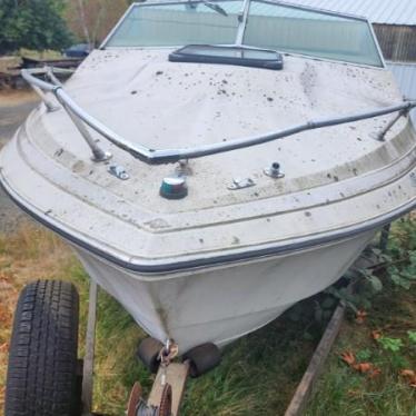 1979 Wellcraft 19ft boat