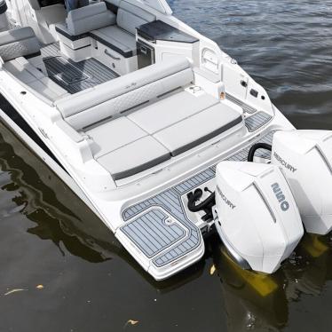 2021 Sea Ray sdx290outboard