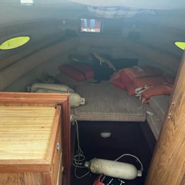 1986 Sea Ray 21ft boat