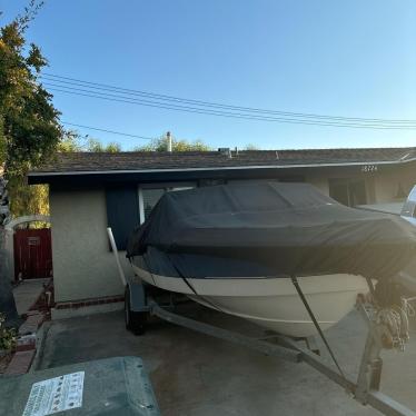 1988 Wellcraft 18ft boat