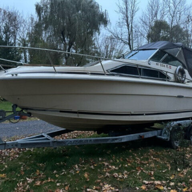 1981 Sea Ray sundancer