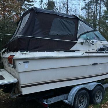 1981 Sea Ray sundancer