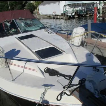 1985 Sea Ray sundancer