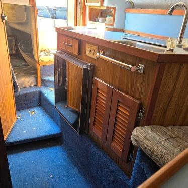 1987 Sea Ray 250 cuddy cabin