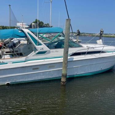 1988 Sea Ray sundancer