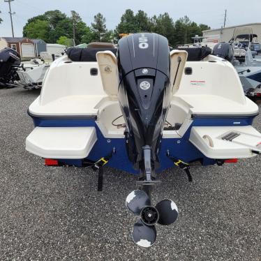 2017 Bayliner element e21