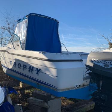 1993 Bayliner trophy