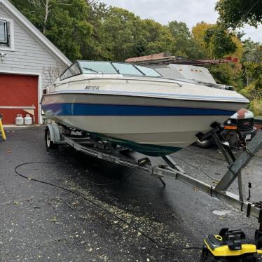 1989 Wellcraft 24ft boat