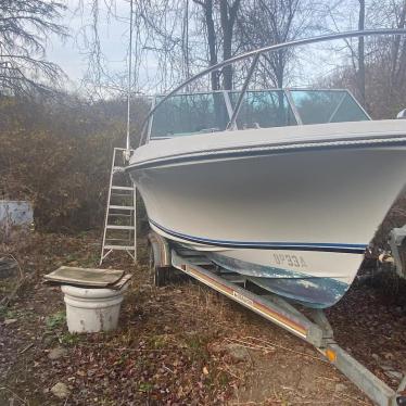 1989 Wellcraft 20ft boat