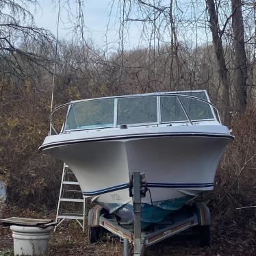 1989 Wellcraft 20ft boat