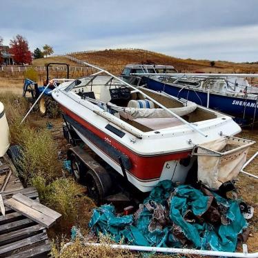 1978 Crestliner 17ft boat