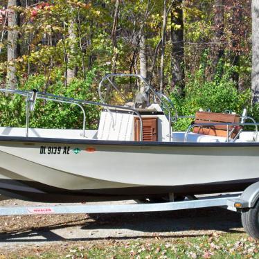 1989 Boston Whaler montauk 17