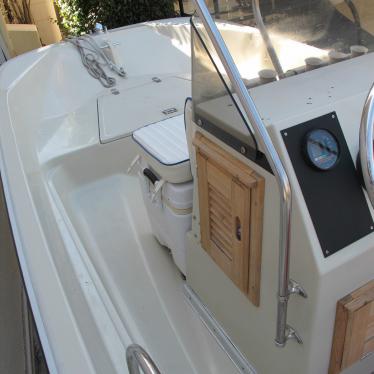 1991 Boston Whaler montauk 17