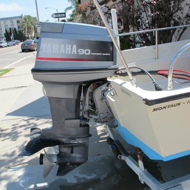 1991 Boston Whaler montauk 17