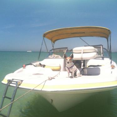 2000 Boston Whaler 15 center console