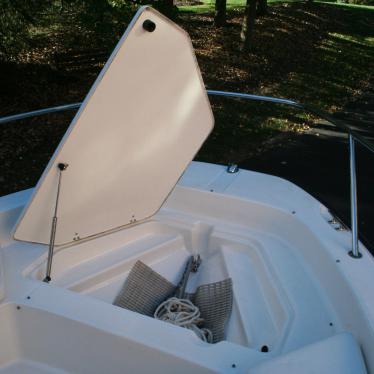 2008 Boston Whaler dauntless 200