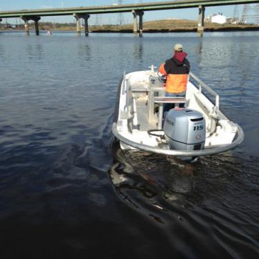 1991 Boston Whaler 18 10''