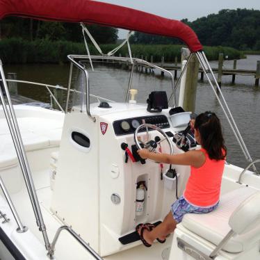 2003 Boston Whaler dauntless 22'