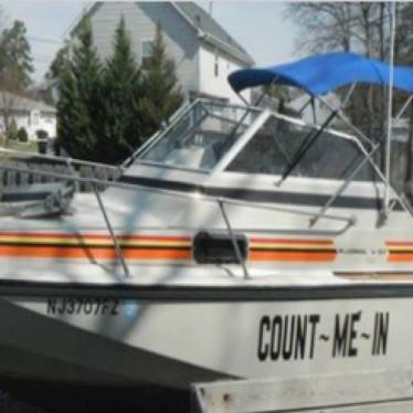 1980 Boston Whaler revenge