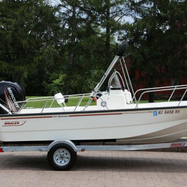 2015 Boston Whaler montaulk