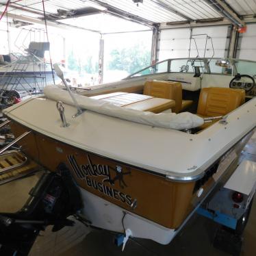 1974 Crestliner crusader 17