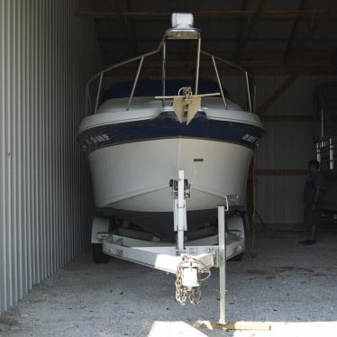 1994 Crownline 250 cr