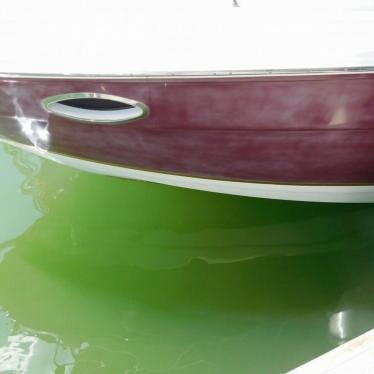 2005 Rinker 300 fiesta vee