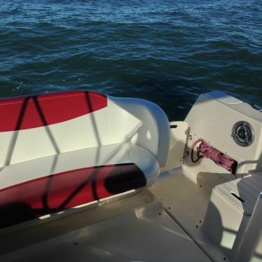 2001 Rinker fiesta vee